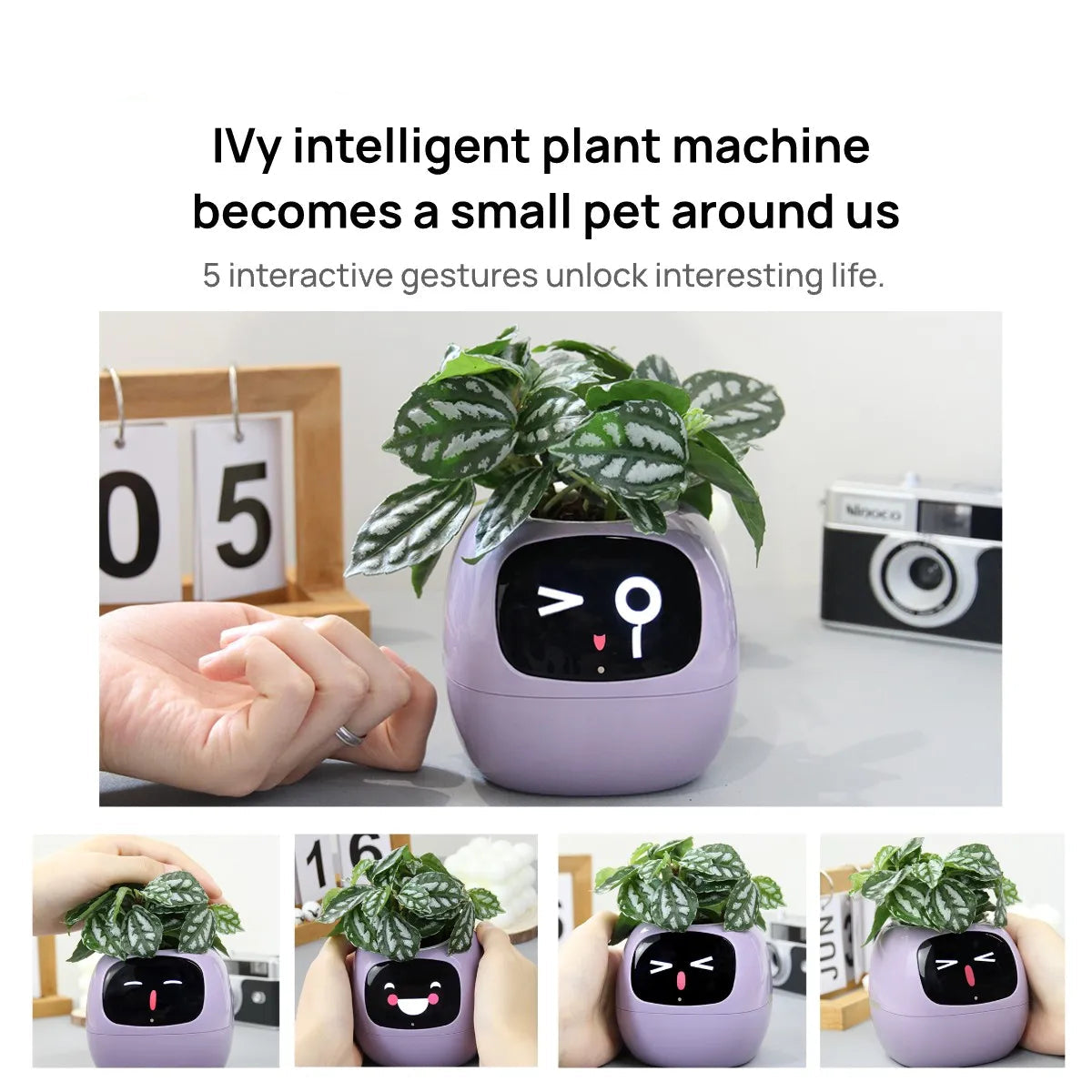 Purple Smart Planter