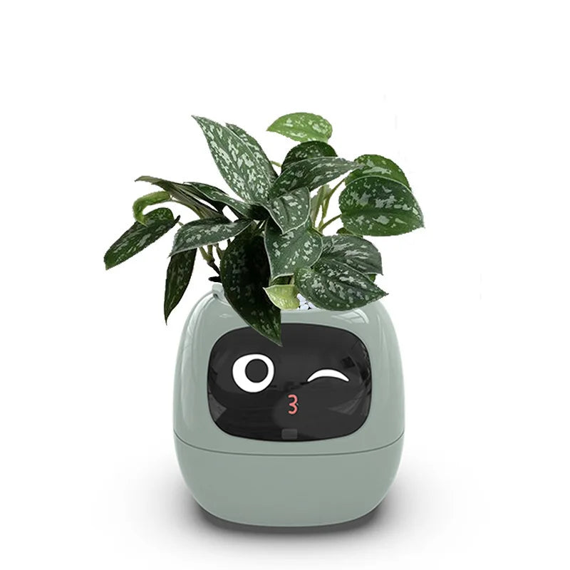 Smart Planter with AI & Sensors