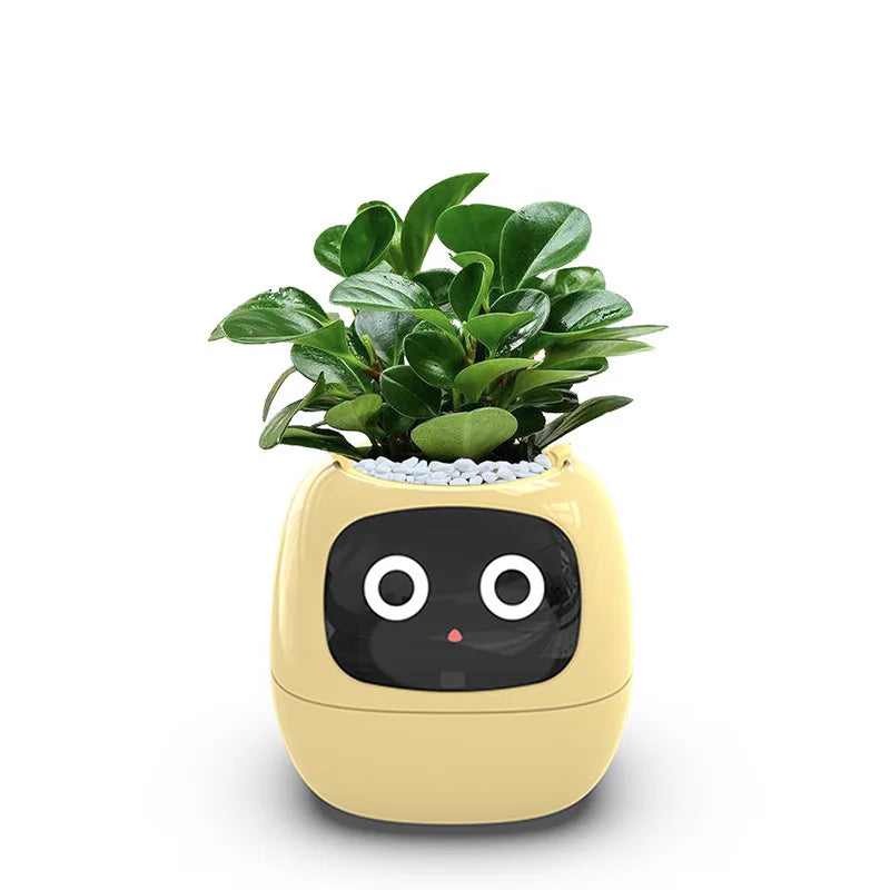 Smart Planter with AI & Sensors