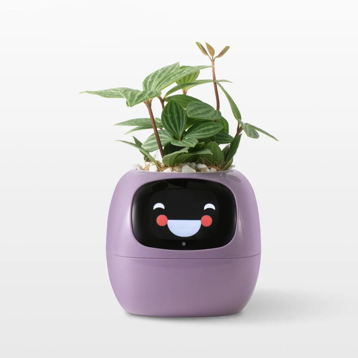 Purple Smart Planter