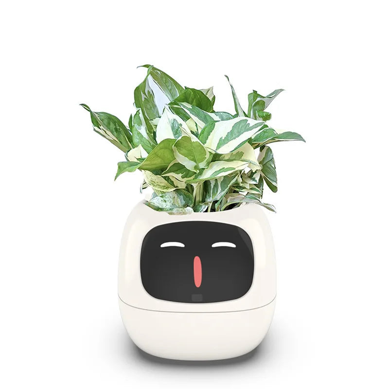 Smart Planter with AI & Sensors