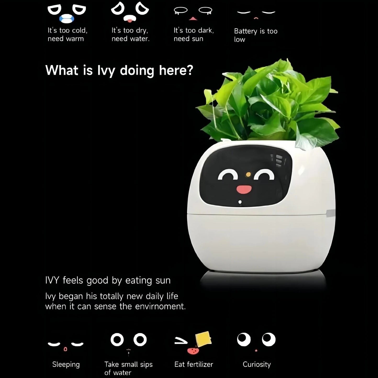 Smart Planter with AI & Sensors