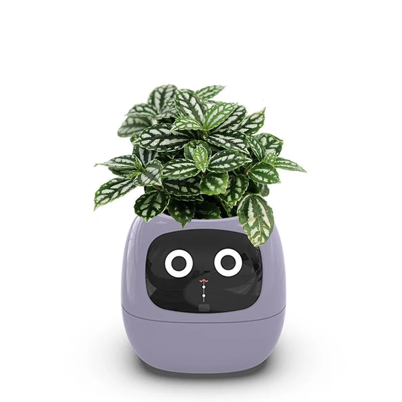 Smart Planter with AI & Sensors
