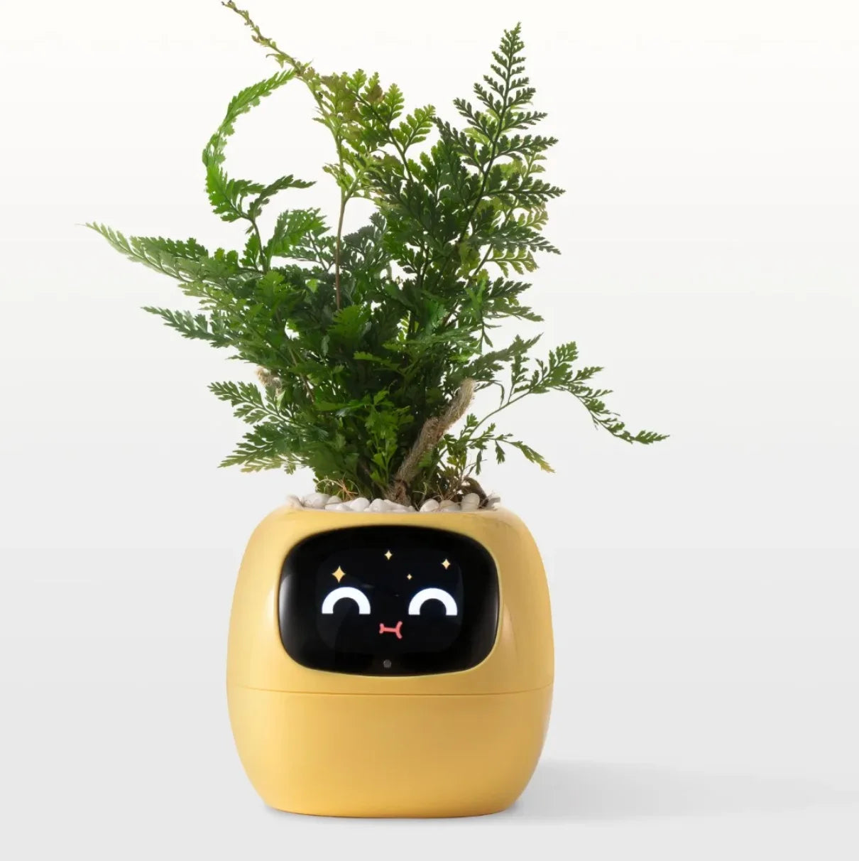 Smart Planter with AI & Sensors