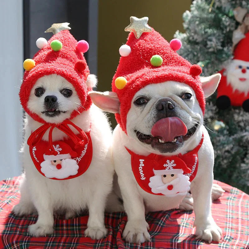 Pet Christmas (Hat + Scarf)