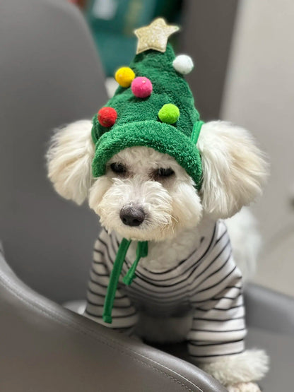 Pet Christmas (Hat + Scarf)