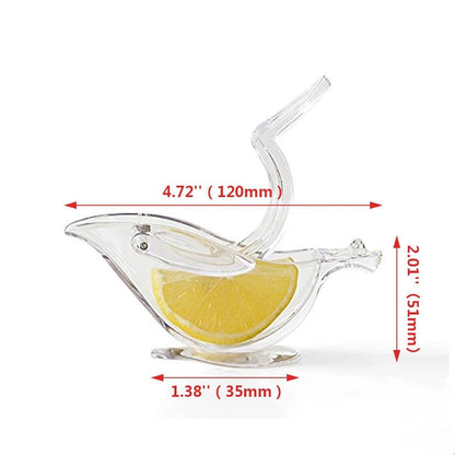 Lemon Squeezer Kitchen Fruit