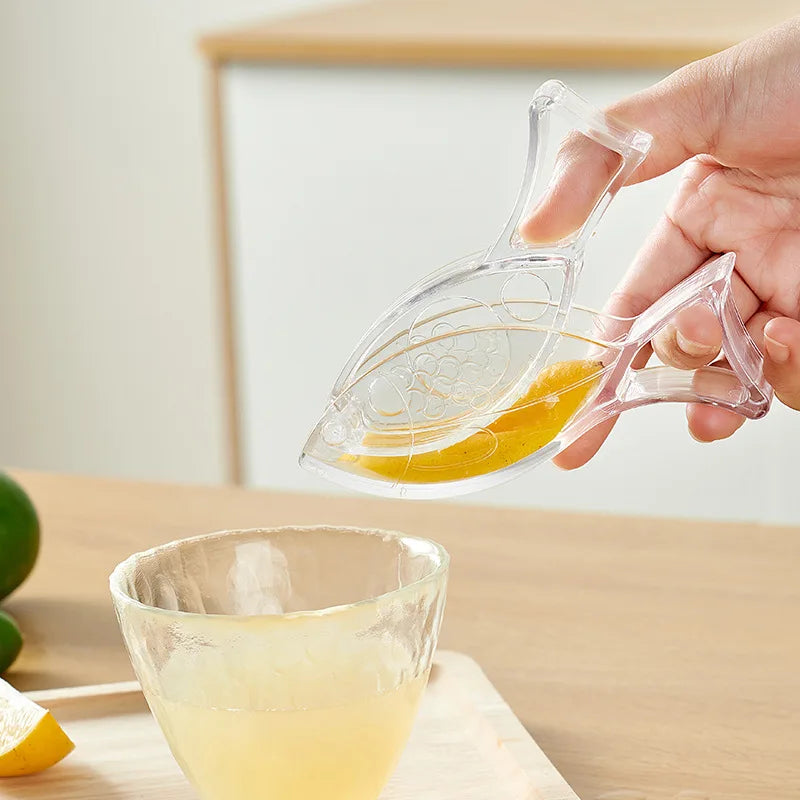 Lemon Squeezer Kitchen Fruit