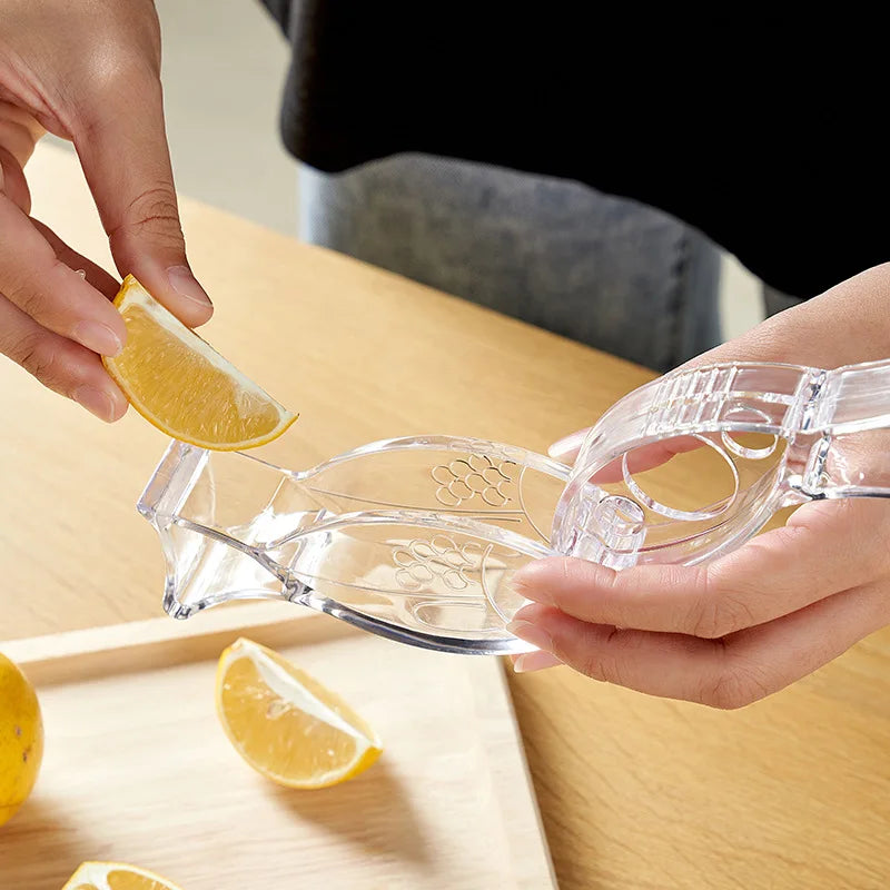 Lemon Squeezer Kitchen Fruit