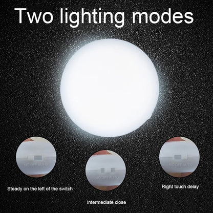 LED Handbag Light