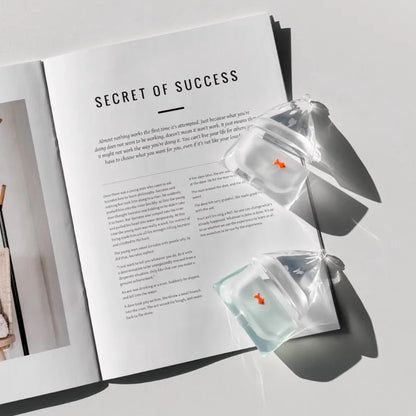 Goldfish Earphone Case