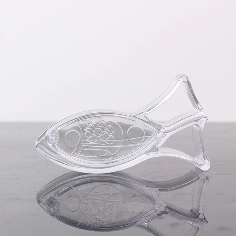 Lemon Squeezer Kitchen Fruit