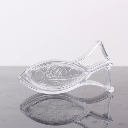 Lemon Squeezer Kitchen Fruit